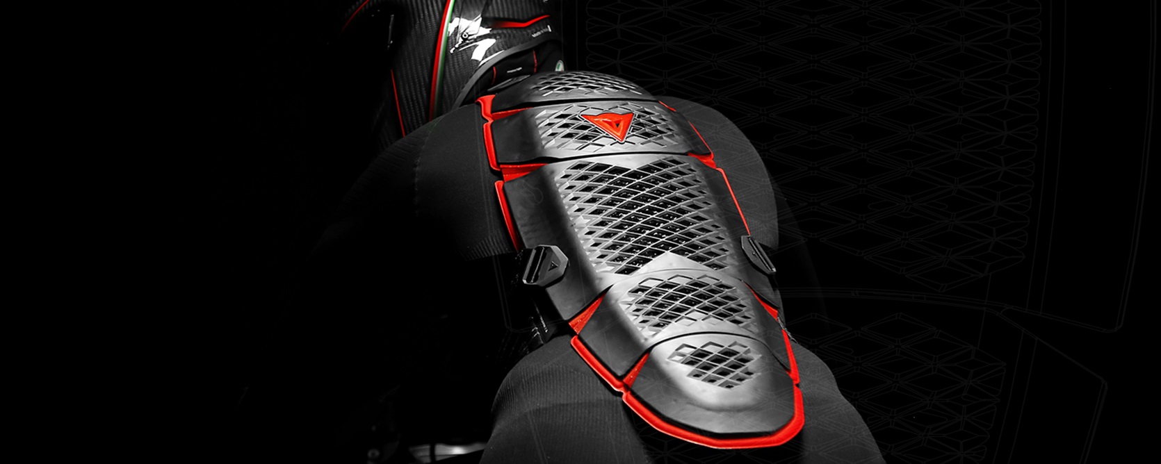 ダイネーゼ Dainese  バックプロテクター