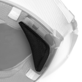 AGV WIND PROTECTOR PISTA GP RR - BLACK